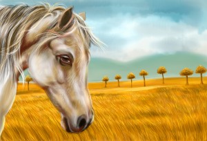HORSE AT YELLOW PADDY FIELD